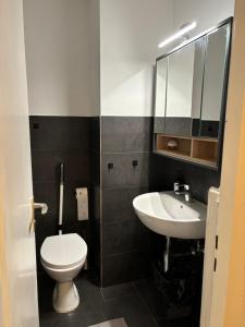 a bathroom with a toilet and a sink at 2 Zimmer Wohnung an der Isar in Munich +18 photos
