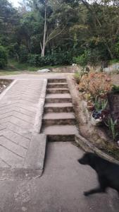 Foto de la galería de Finca Villa Marleny en Fusagasuga