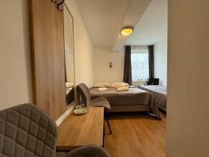 a bedroom with a bed and a large mirror at Willa Pod Kotelnicą in Białka Tatrzanska