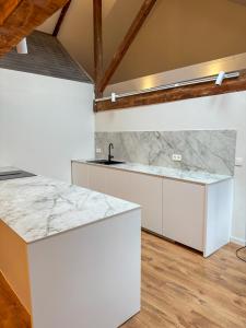 Kuchyň nebo kuchyňský kout v ubytování Spacious, newly renovated loft - 107m2