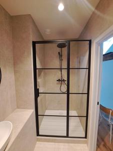 a glass shower in a bathroom with a sink at Spacious, newly renovated loft - 107m2 in Sint-Niklaas +14 photos