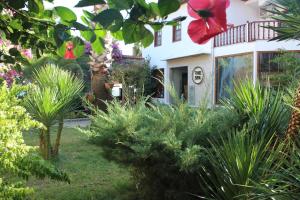 Fotografie z fotogalerie ubytování Hotel Ekincik v destinaci Ekincik
