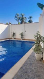 Πισίνα στο ή κοντά στο Mado luxury villa with private pool