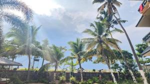 Zahrada ubytování PALM Beach Resort, Alleppey