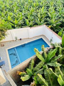 Πισίνα στο ή κοντά στο El Hady villa with swimming pool