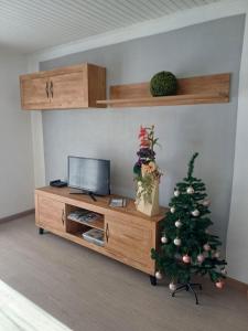 salon z telewizorem i choinką świąteczną w obiekcie Maison de vacances au cœur de la Cerdagne w mieście Angoustrine