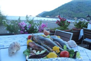 Fotografie z fotogalerie ubytování Hotel Ekincik v destinaci Ekincik