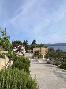 Φυσικό τοπίο κοντά σε αυτό το διαμέρισμα +20 φωτογραφίες