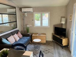 Μια τηλεόραση ή/και κέντρο ψυχαγωγίας στο Chalet T3 15 min plage grande terasse et piscine +5 φωτογραφίες