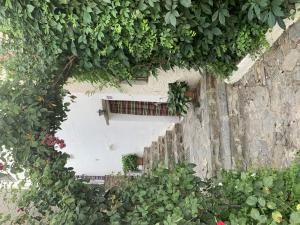 Vonkajšia záhrada v ubytovaní Rural Bubion - La Alpujarra