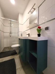クフィジンにあるApartamenty Parkowe nr 9の洗面台とトイレ付きのバスルーム