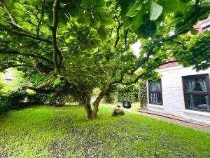 Zahrada ubytování Charming apartment near Emden with garden, 100 m²