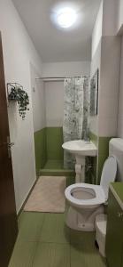 a bathroom with a toilet and a sink at Alinaalis in Zărneşti