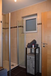 ein Badezimmer mit Dusche und Waschbecken in der Unterkunft Ferienwohnung an der Obermosel in Oberbillig + 10 Fotos