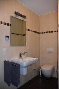 ein Badezimmer mit Waschbecken und Toilette in der Unterkunft Ferienwohnung an der Obermosel in Oberbillig