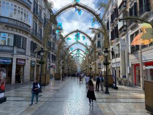 Hostia v ubytovaní Apartamento Marín García C - Centro Histórico