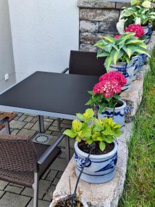 Ein Garten an der Unterkunft Ferienwohnung an der Obermosel