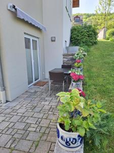 Ein Garten an der Unterkunft Ferienwohnung an der Obermosel