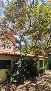 a tree in front of a house at Bela Oyá Casa Hostel in Vale do Capao