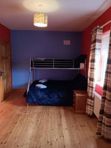 a bedroom with a bunk bed in a blue wall at Room 3 Williamstown, Ireland in Crumlin