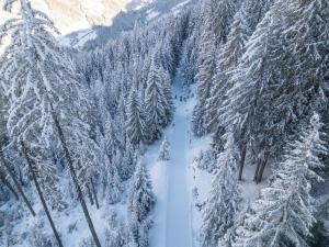 Kleiner Alpiner Boudoir in der Residenz Silvretta - Inklusive Silvretta Card Premium v zimě