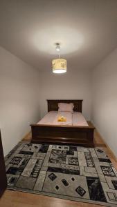 ein Schlafzimmer mit einem Bett und einem Teppich auf dem Boden in der Unterkunft Kassandra's Apartment in Târgu Mureș