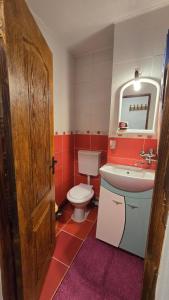 ein Badezimmer mit Toilette und Waschbecken in der Unterkunft Kassandra's Apartment in Târgu Mureș + 6 Fotos