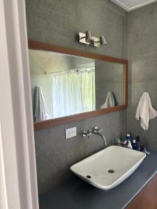 a bathroom with a sink and a mirror at La casa del lago in Chascomús