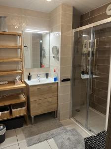 ein Badezimmer mit Dusche und Waschbecken in der Unterkunft les 7 laux immobilier chalet E in Prapoutel + 192 Fotos