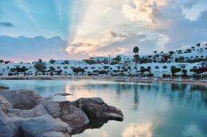 um pássaro a voar sobre uma piscina num resort em Domina Coral Bay - Salt Lake & Sea view em Sharm El Sheikk
