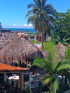 Příroda nedaleko hotelu