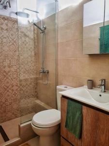 a bathroom with a toilet and a sink and a shower at Emmas House in Pythagoreio in Samos