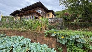 Zahrada ubytování Wangdue Ecolodge + 37 fotografií