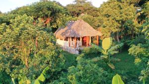 a small hut in the middle of a forest at Totoco Eco Resort in Balgue