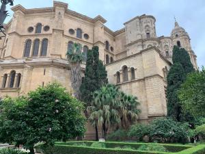 Vonkajšia záhrada v ubytovaní Centro Histórico - Catedral 2