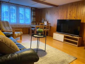 TV a/nebo společenská místnost v ubytování Gemütliche Wohnung mit traditionellem Trittofen