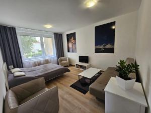 TV a/nebo společenská místnost v ubytování Apartmán Tatranská Lomnica