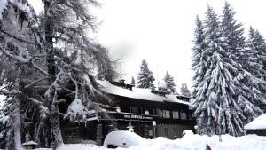a building covered in snow next to some trees at Boeritza Hotel Complex in Vladaya