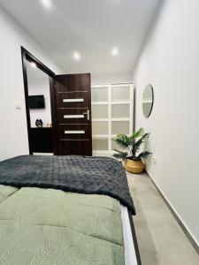 a bedroom with a large bed and a mirror at Różana City Apartaments in Kutno +6 photos