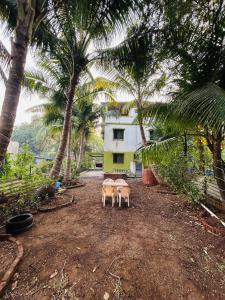 Κήπος έξω από το Pitru Krupa Homestay