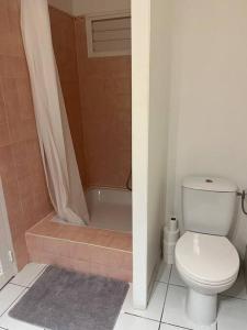 Koupelna v ubytování Grand Studio avec piscine