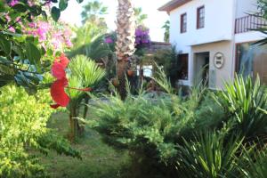 Fotografie z fotogalerie ubytování Hotel Ekincik v destinaci Ekincik