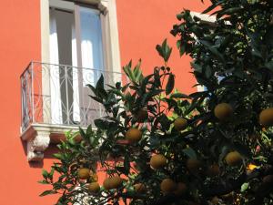 an orange tree in front of a building with a window at Villa Astoria in Taormina