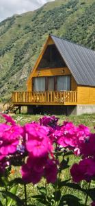 Ein allgemeiner Bergblick oder ein Berglick von des Chalets aus