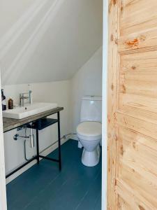 a bathroom with a white toilet and a sink at Charming Family House Near Ystads Sandy Beaches in Köpingebro +15 photos