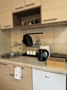 Studio apartman S的厨房或小厨房