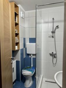 乌日策Studio apartman S的带马桶和玻璃淋浴间的浴室