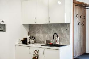 Η κουζίνα ή μικρή κουζίνα στο Apartament Leśna Przystań