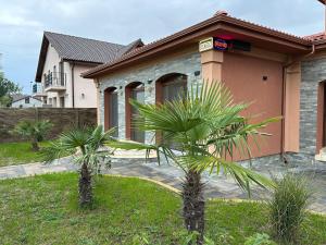 two palm trees in front of a house at Casa Rebeca Timișoara in Ghiroda +36 photos