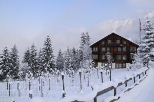 a building covered in snow in front of trees at Staubbachbänkli in Wengen